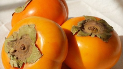 겨울철 간식 끝판왕! 핵꿀팁 가득한 남원대봉 탐구생활🍇